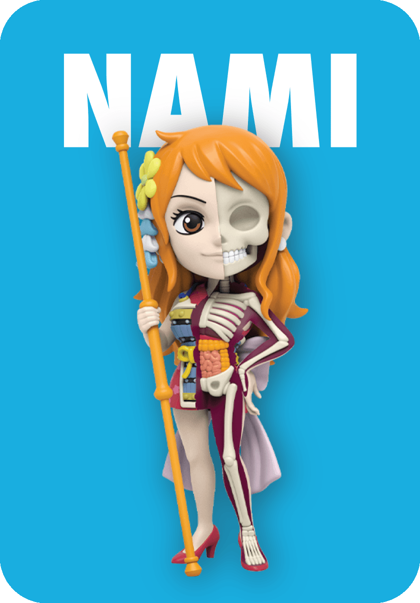 Mighty Jaxx - FHD One Piece Ladies Edition Blind Box